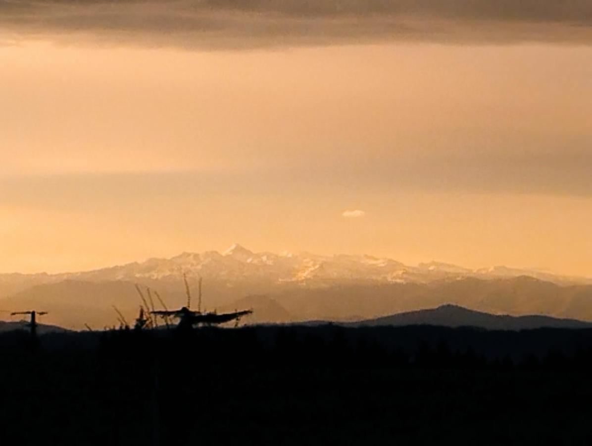 Appartement, Vue Sur Les Pyrenees Pouillon Luaran gambar